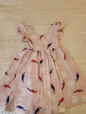 Girls Pink Parrot Print Flutter Sleeve Dress- Dot Dot Smile